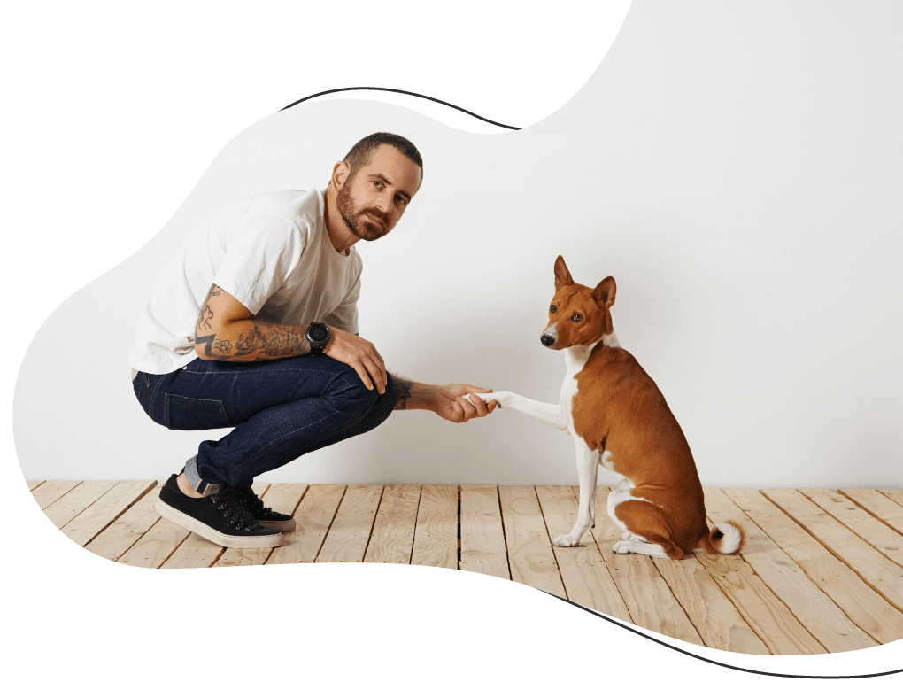 https://wonderbichons.com/wp-content/uploads/2019/08/hero_image_08.png