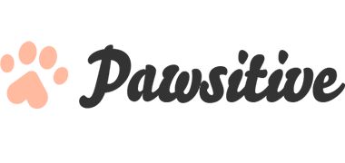 Wonder Bichon's | We breed with love.