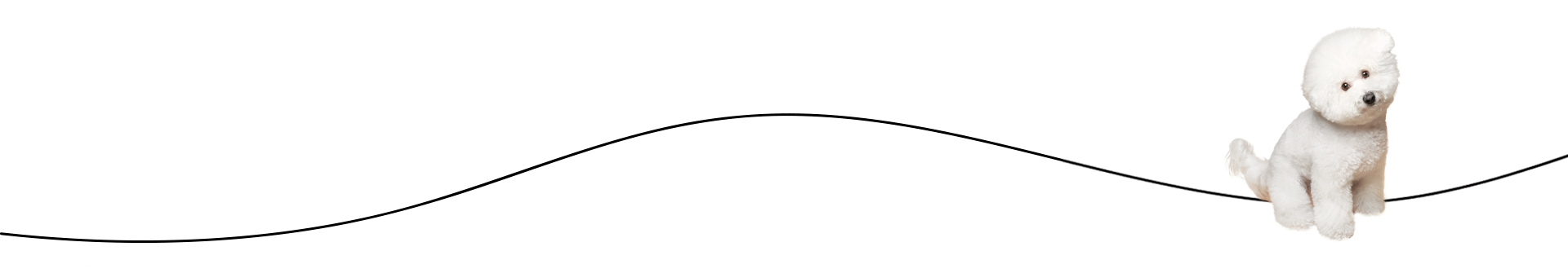 bt_bb_section_top_section_coverage_image